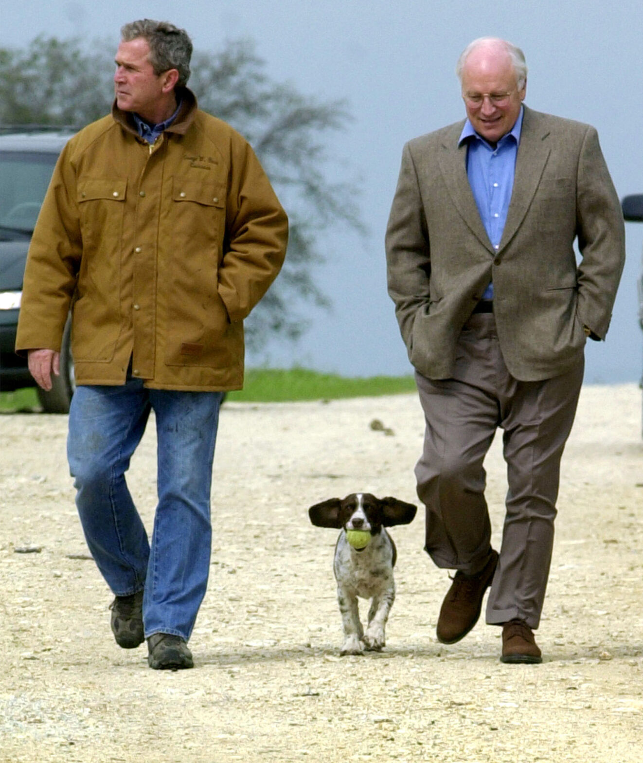 White House Pets